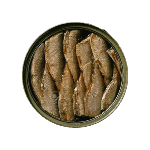 Sardinas en Aceite 1000 Gr. Dargoni